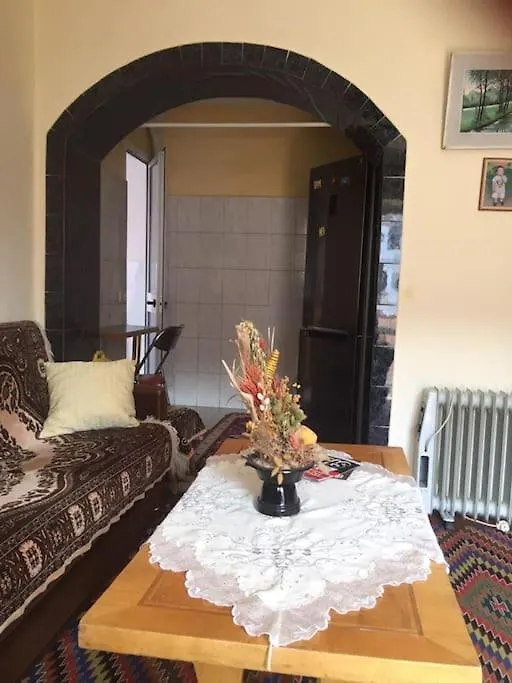 Mollys Apartment 1 Pogradec